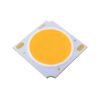 COB Chip 20W High power (Big)