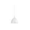 Indoor hanging Lights B029-A WH