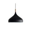 Indoor Hanging Lights LZ H-B689 BK